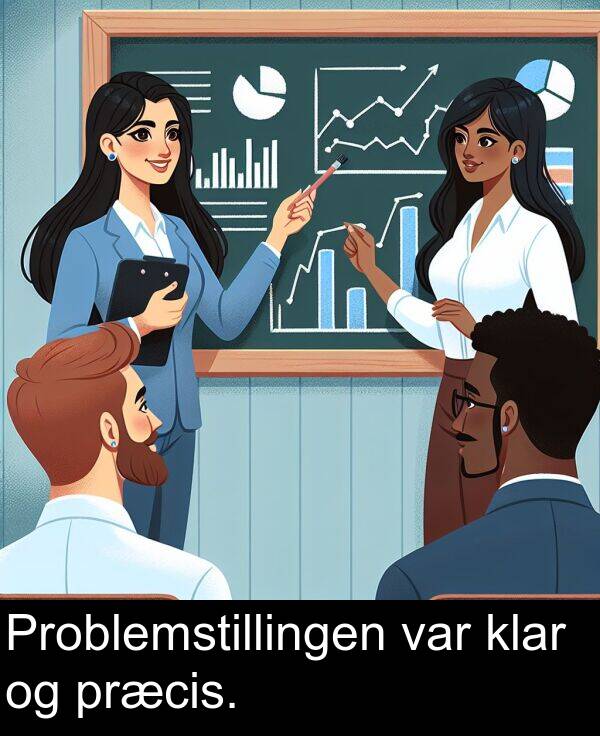 var: Problemstillingen var klar og præcis.