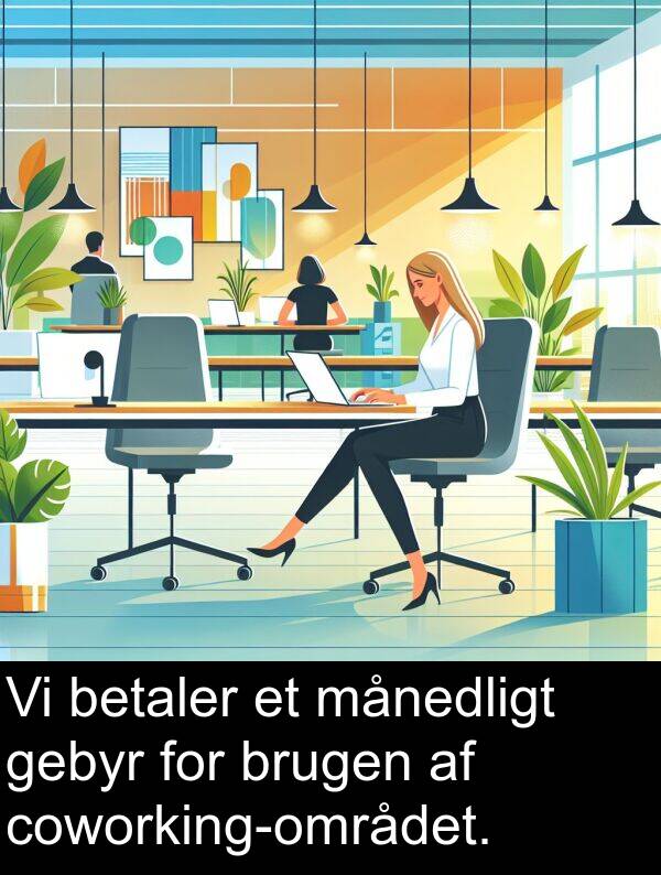 betaler: Vi betaler et månedligt gebyr for brugen af coworking-området.