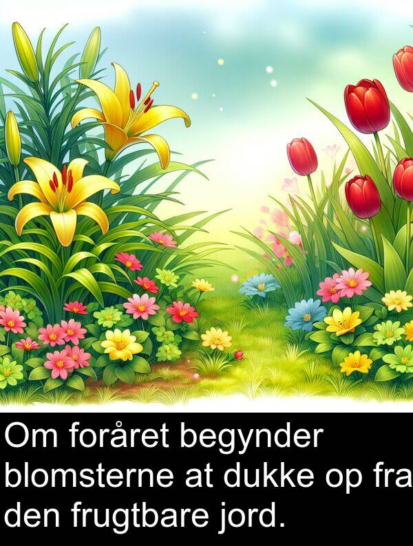 jord: Om foråret begynder blomsterne at dukke op fra den frugtbare jord.