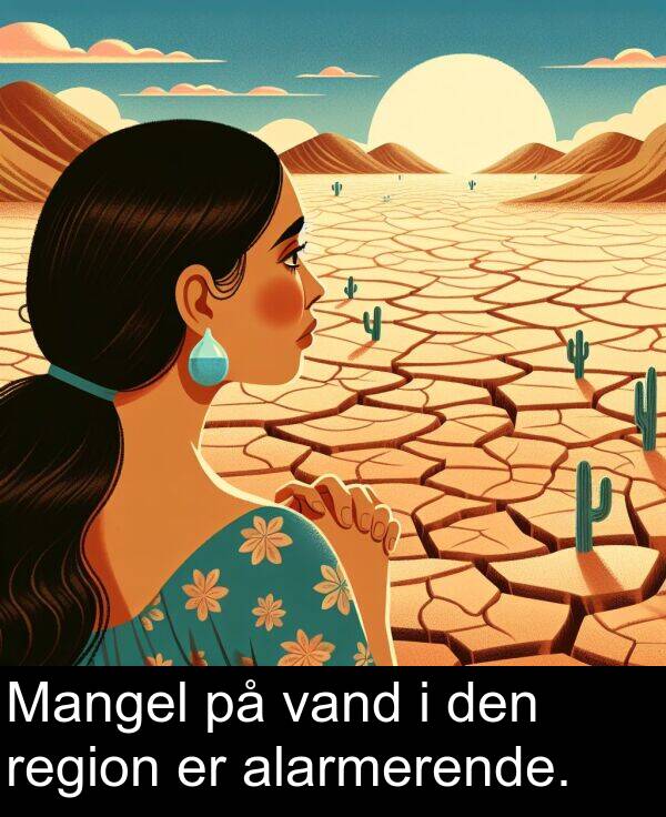 vand: Mangel på vand i den region er alarmerende.