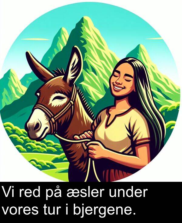 red: Vi red på æsler under vores tur i bjergene.