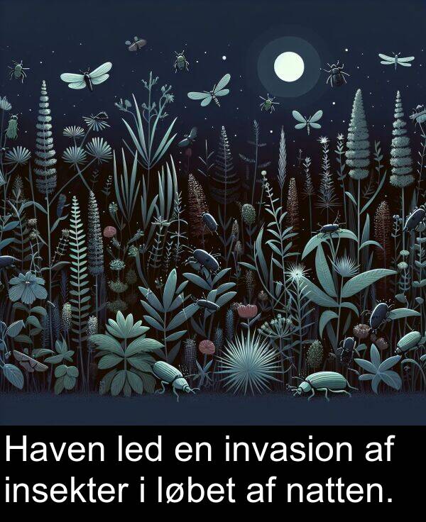 led: Haven led en invasion af insekter i løbet af natten.