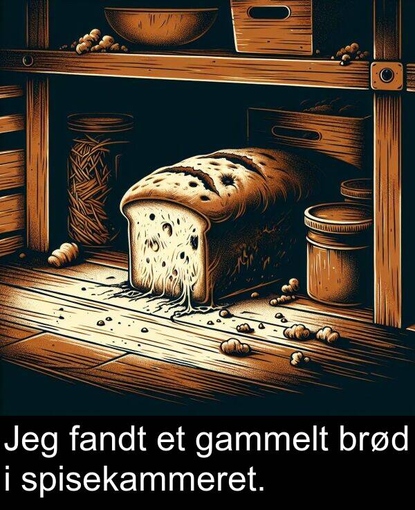 fandt: Jeg fandt et gammelt brød i spisekammeret.