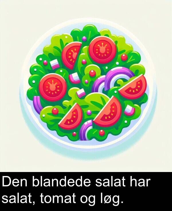 salat: Den blandede salat har salat, tomat og løg.