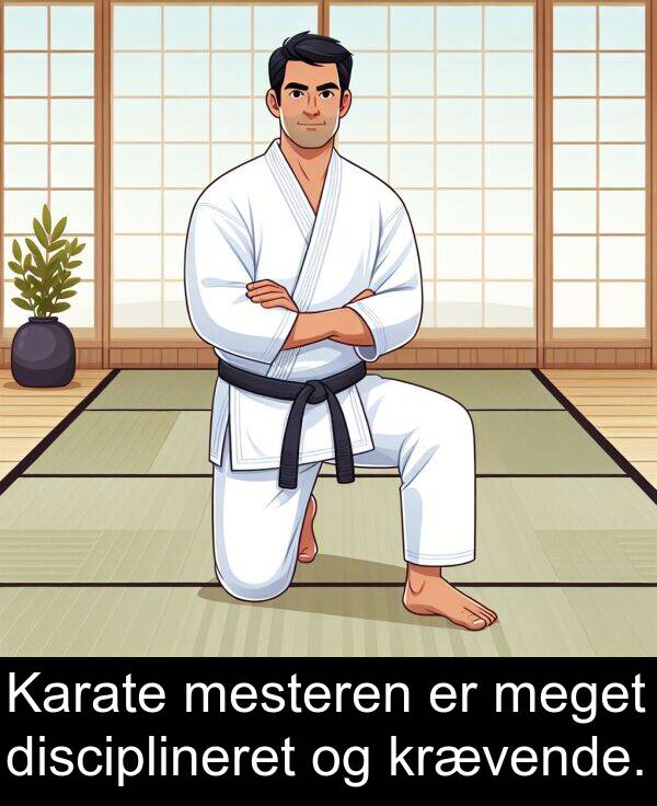 krævende: Karate mesteren er meget disciplineret og krævende.