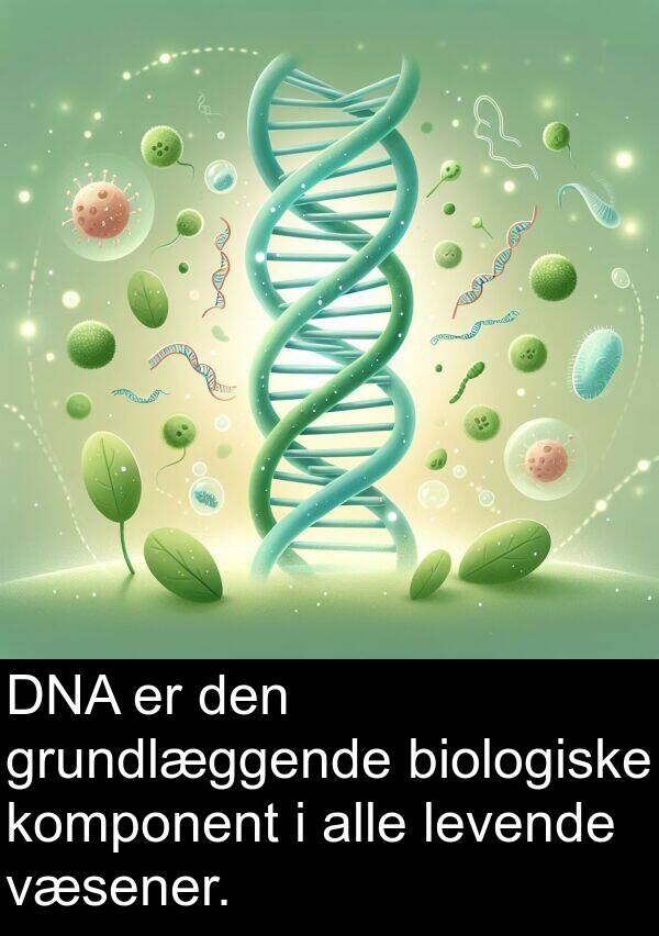 væsener: DNA er den grundlæggende biologiske komponent i alle levende væsener.