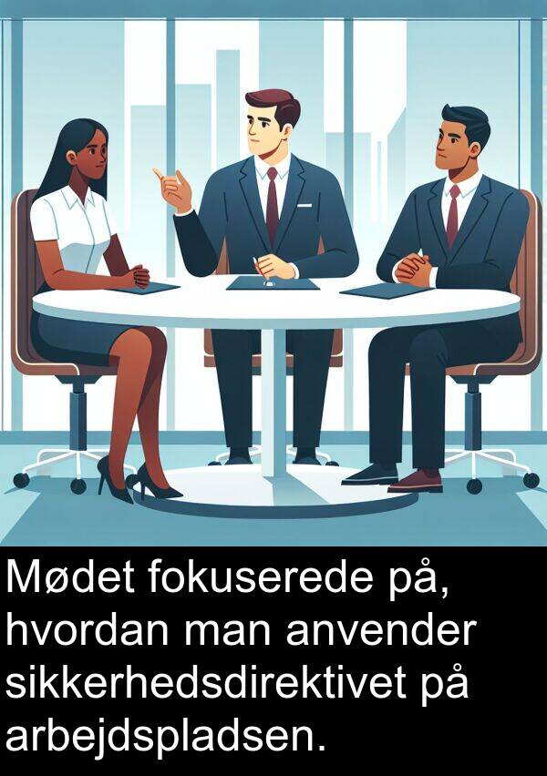 man: Mødet fokuserede på, hvordan man anvender sikkerhedsdirektivet på arbejdspladsen.