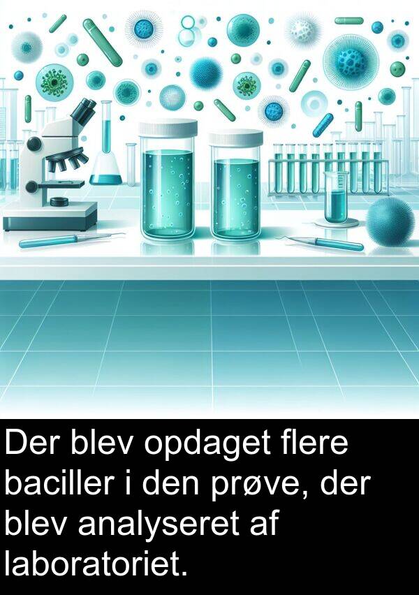 laboratoriet: Der blev opdaget flere baciller i den prøve, der blev analyseret af laboratoriet.