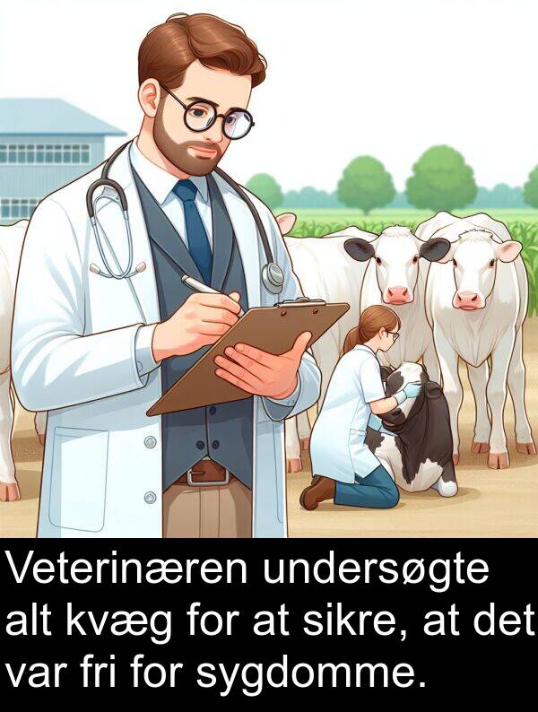 fri: Veterinæren undersøgte alt kvæg for at sikre, at det var fri for sygdomme.