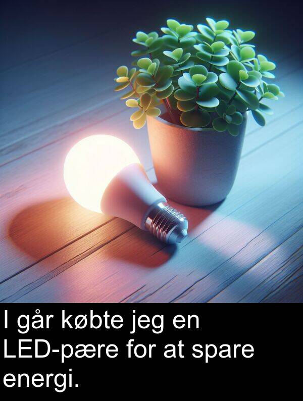 energi: I går købte jeg en LED-pære for at spare energi.