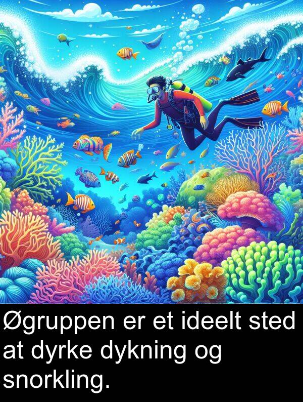 dykning: Øgruppen er et ideelt sted at dyrke dykning og snorkling.