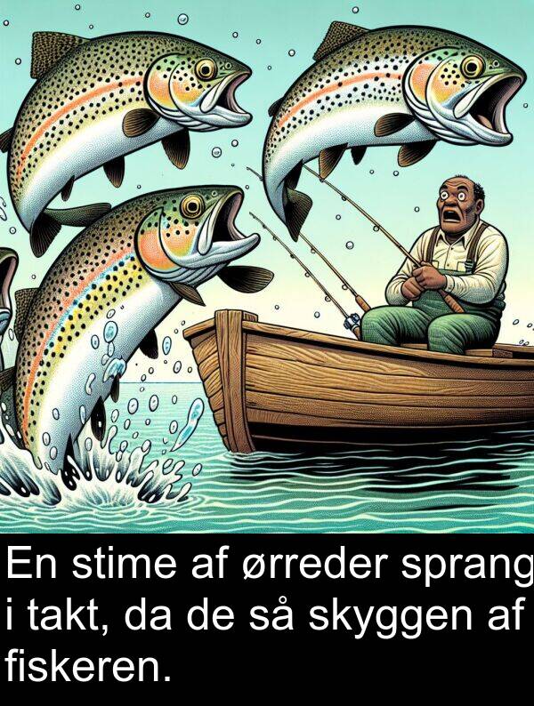 sprang: En stime af ørreder sprang i takt, da de så skyggen af fiskeren.