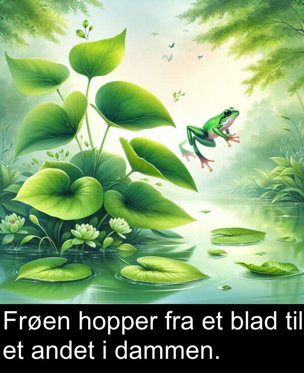 dammen: Frøen hopper fra et blad til et andet i dammen.