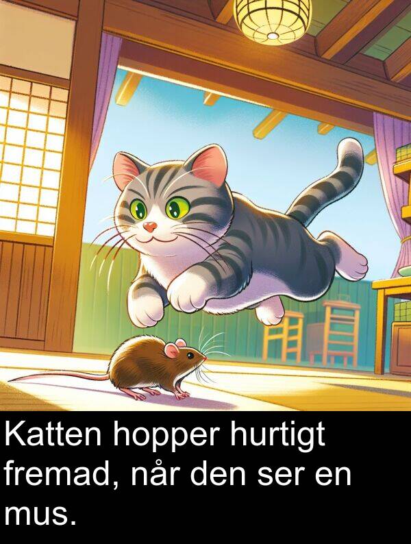 ser: Katten hopper hurtigt fremad, når den ser en mus.