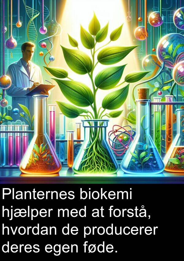 føde: Planternes biokemi hjælper med at forstå, hvordan de producerer deres egen føde.