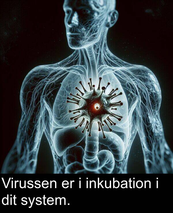 dit: Virussen er i inkubation i dit system.