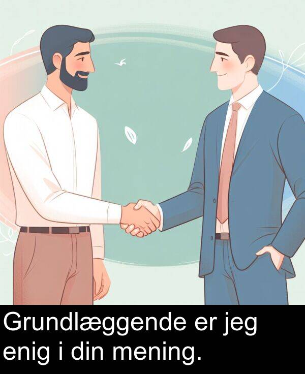 din: Grundlæggende er jeg enig i din mening.