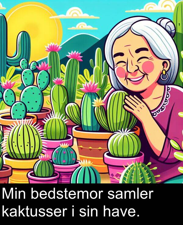 bedstemor: Min bedstemor samler kaktusser i sin have.