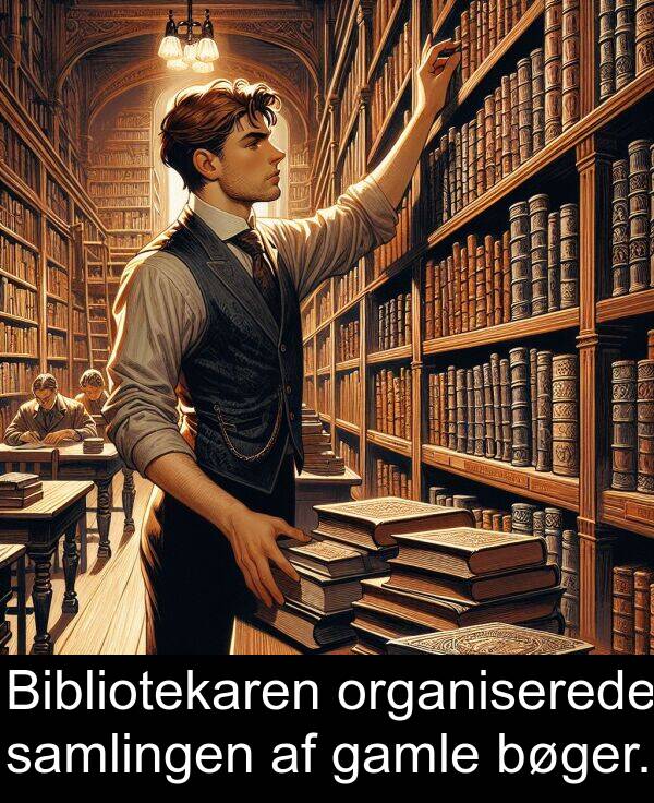 samlingen: Bibliotekaren organiserede samlingen af gamle bøger.