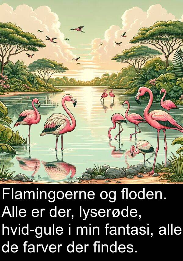 findes: Flamingoerne og floden. Alle er der, lyserøde, hvid-gule i min fantasi, alle de farver der findes.