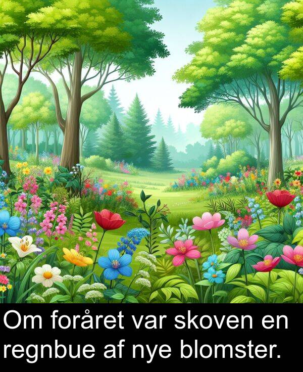 regnbue: Om foråret var skoven en regnbue af nye blomster.