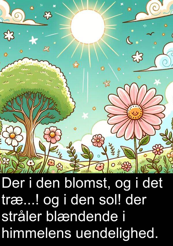 blændende: Der i den blomst, og i det træ...! og i den sol! der stråler blændende i himmelens uendelighed.