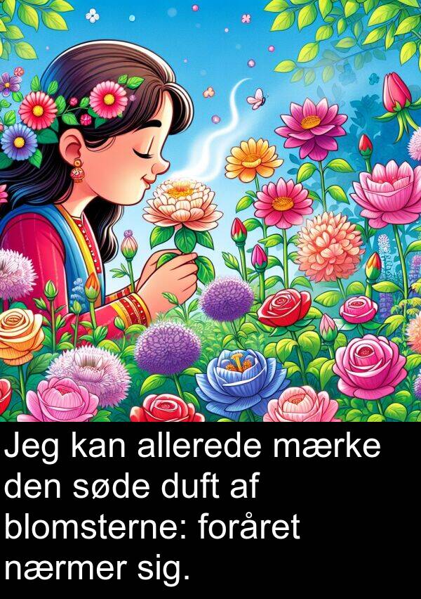 mærke: Jeg kan allerede mærke den søde duft af blomsterne: foråret nærmer sig.