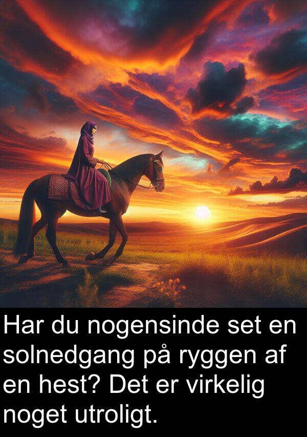 nogensinde: Har du nogensinde set en solnedgang på ryggen af en hest? Det er virkelig noget utroligt.