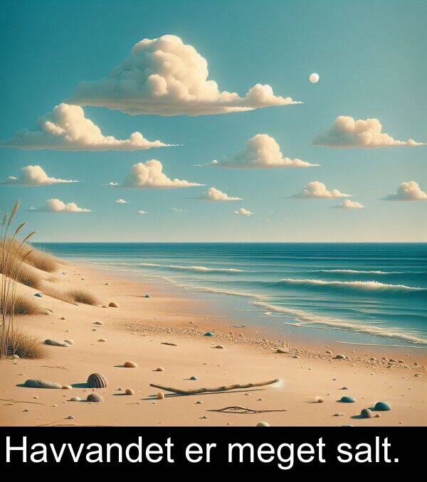 meget: Havvandet er meget salt.