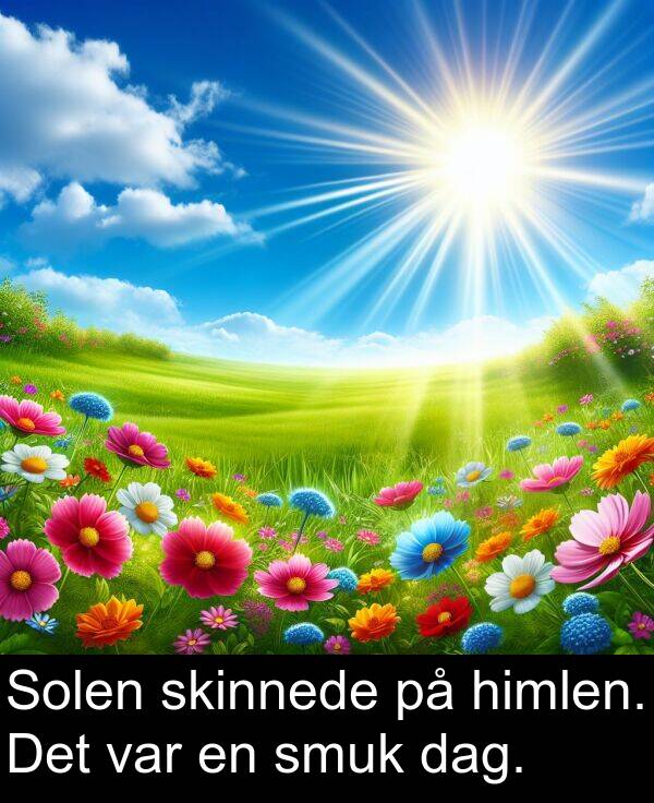 var: Solen skinnede på himlen. Det var en smuk dag.