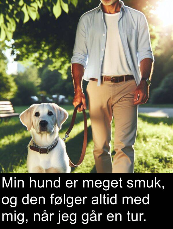 følger: Min hund er meget smuk, og den følger altid med mig, når jeg går en tur.