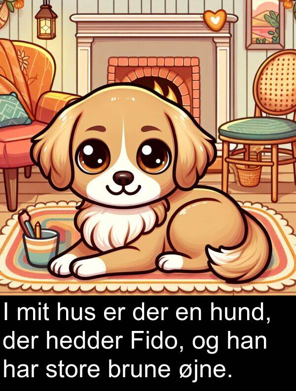 hedder: I mit hus er der en hund, der hedder Fido, og han har store brune øjne.