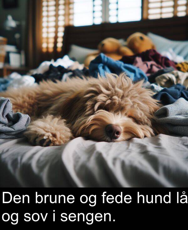 fede: Den brune og fede hund lå og sov i sengen.