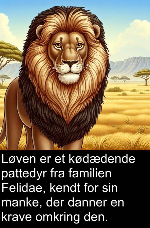 kendt: Løven er et kødædende pattedyr fra familien Felidae, kendt for sin manke, der danner en krave omkring den.