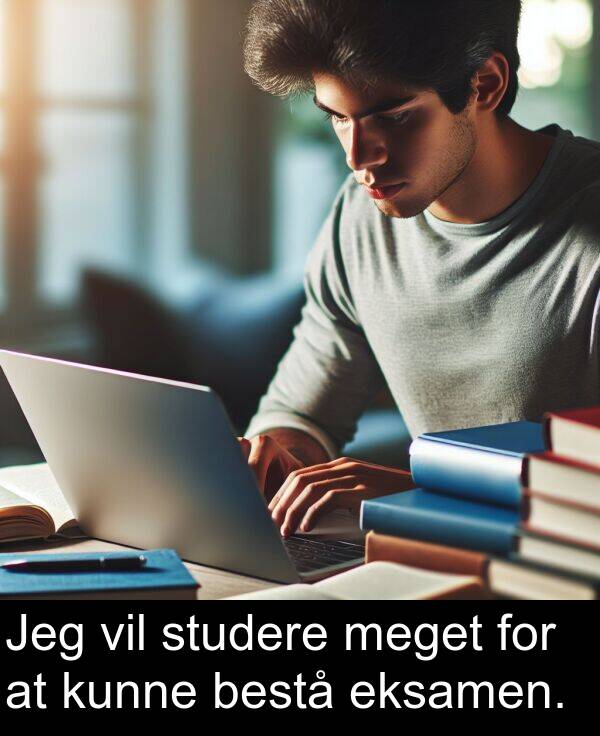 vil: Jeg vil studere meget for at kunne bestå eksamen.