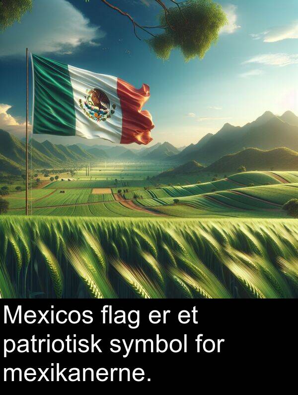 patriotisk: Mexicos flag er et patriotisk symbol for mexikanerne.