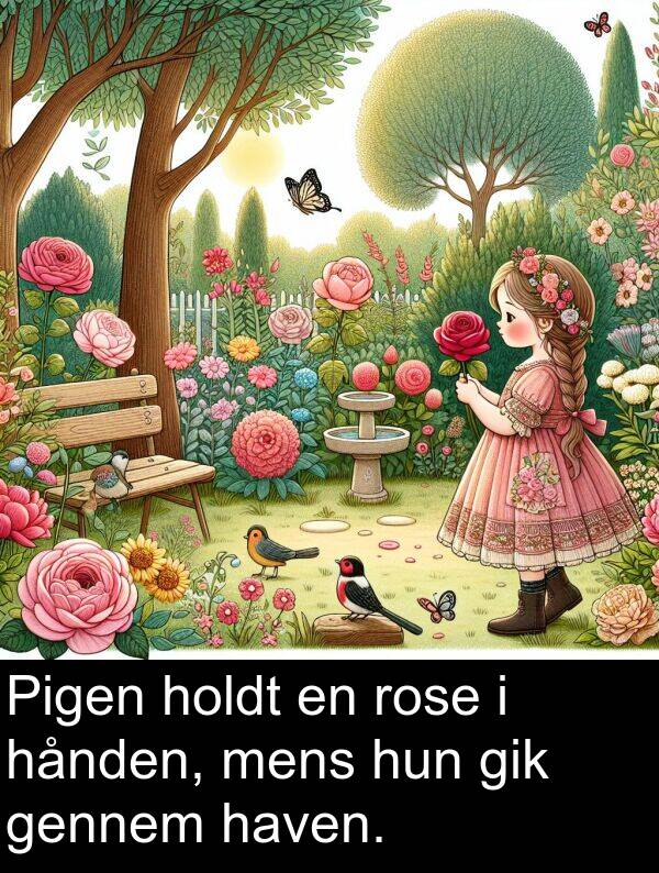 gennem: Pigen holdt en rose i hånden, mens hun gik gennem haven.