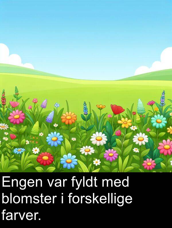 farver: Engen var fyldt med blomster i forskellige farver.