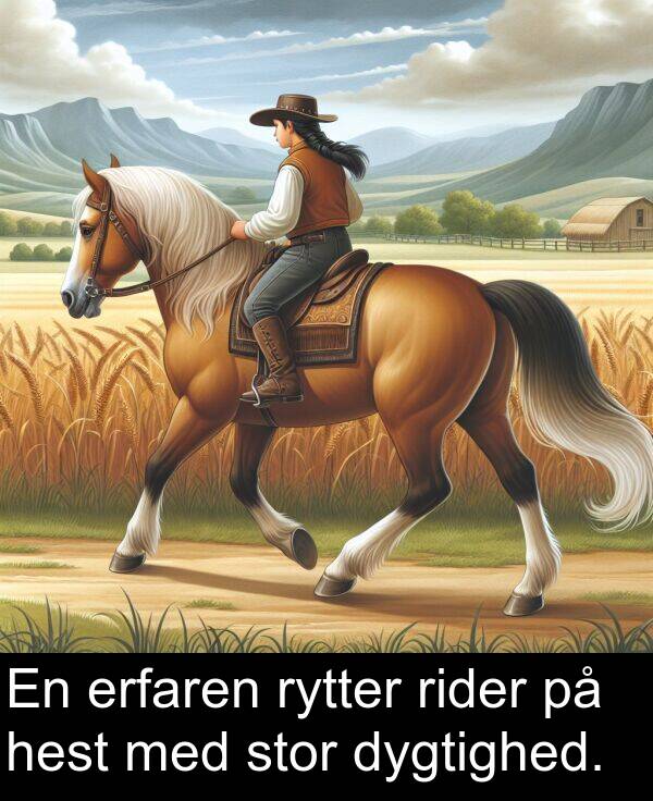 stor: En erfaren rytter rider på hest med stor dygtighed.