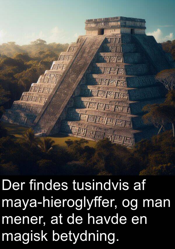 man: Der findes tusindvis af maya-hieroglyffer, og man mener, at de havde en magisk betydning.