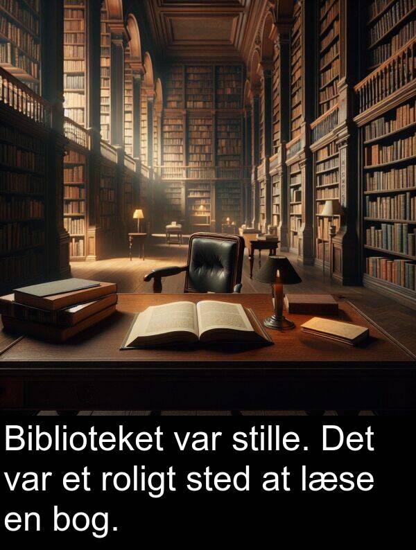 bog: Biblioteket var stille. Det var et roligt sted at læse en bog.