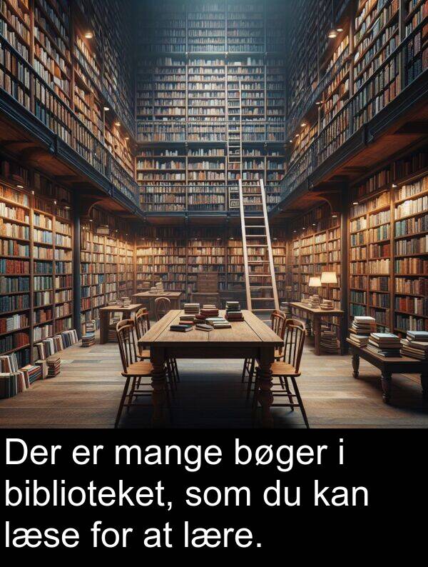 mange: Der er mange bøger i biblioteket, som du kan læse for at lære.