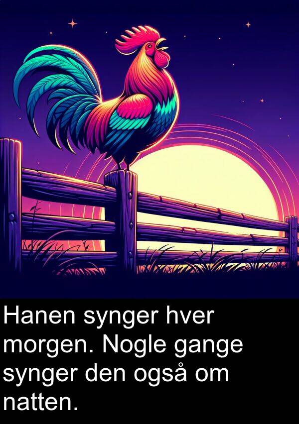 gange: Hanen synger hver morgen. Nogle gange synger den også om natten.