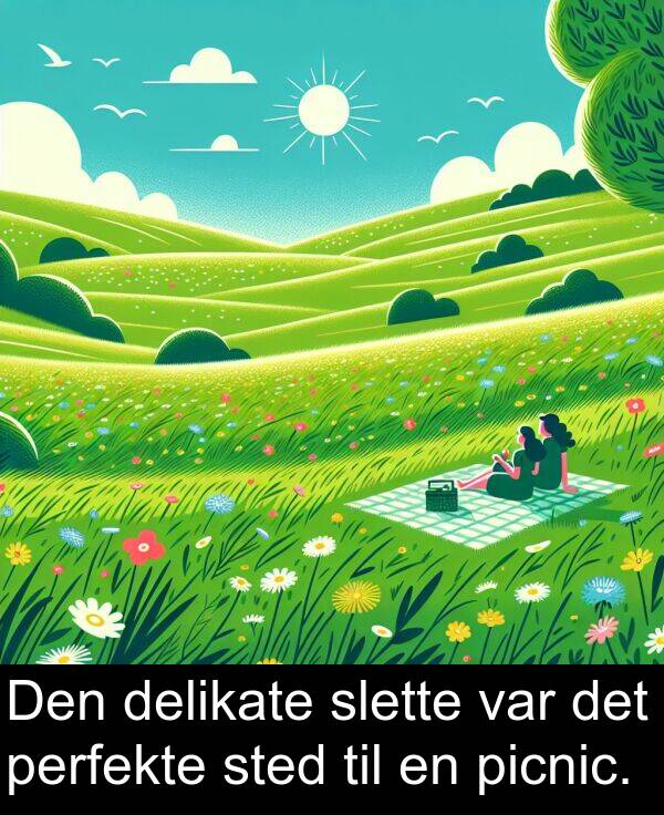 delikate: Den delikate slette var det perfekte sted til en picnic.