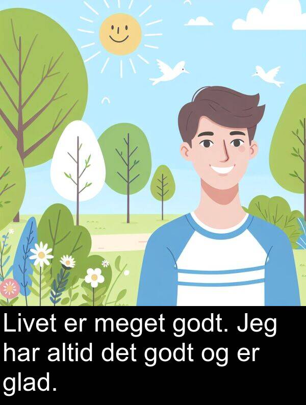 glad: Livet er meget godt. Jeg har altid det godt og er glad.