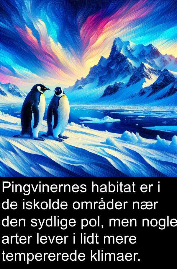 områder: Pingvinernes habitat er i de iskolde områder nær den sydlige pol, men nogle arter lever i lidt mere tempererede klimaer.