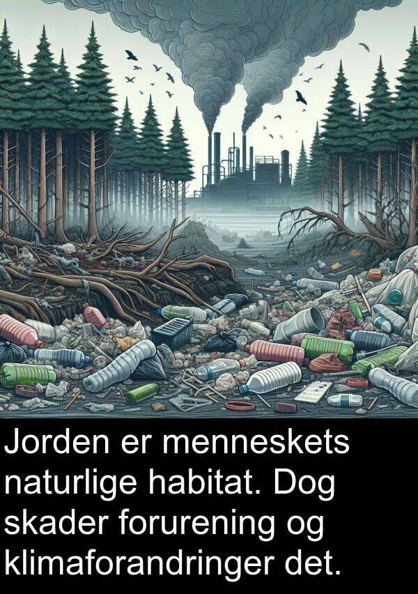 forurening: Jorden er menneskets naturlige habitat. Dog skader forurening og klimaforandringer det.