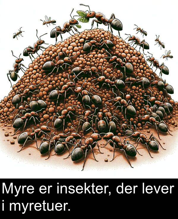 lever: Myre er insekter, der lever i myretuer.