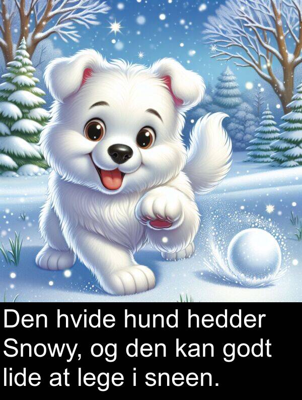 lege: Den hvide hund hedder Snowy, og den kan godt lide at lege i sneen.