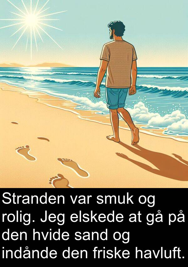 sand: Stranden var smuk og rolig. Jeg elskede at gå på den hvide sand og indånde den friske havluft.